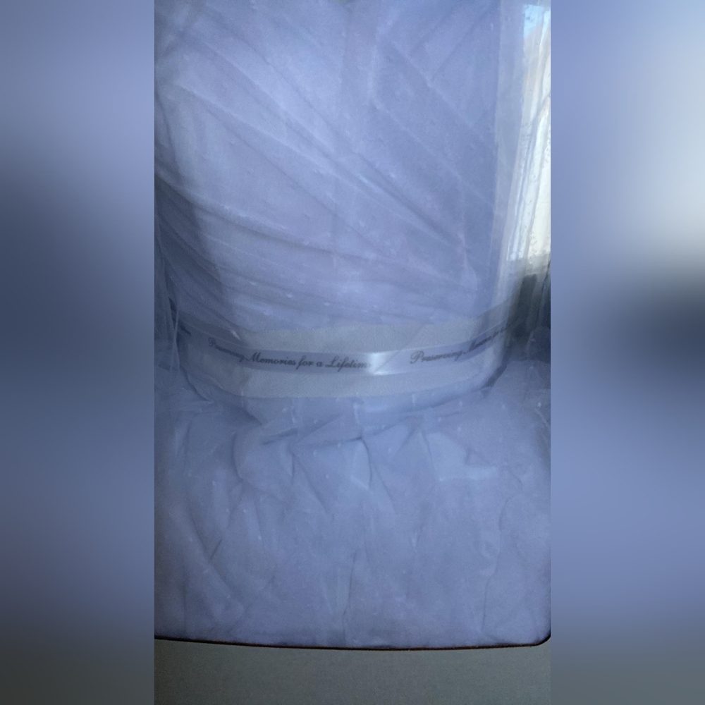 White Wedding Dress and Veil